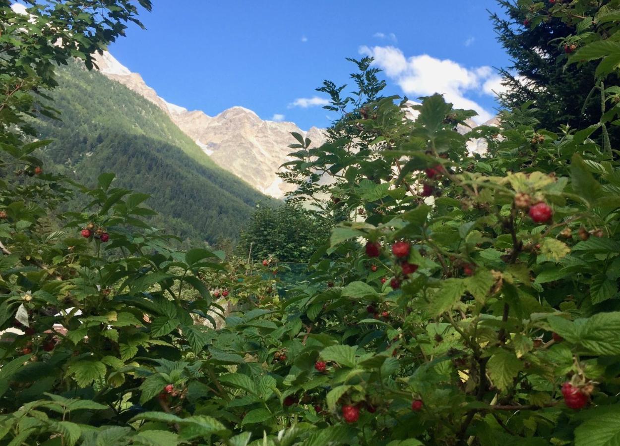 Appartamento Casa Weisstor Con Patio, Giardino E Orti Vista Monte Rosa Макуньяга Экстерьер фото