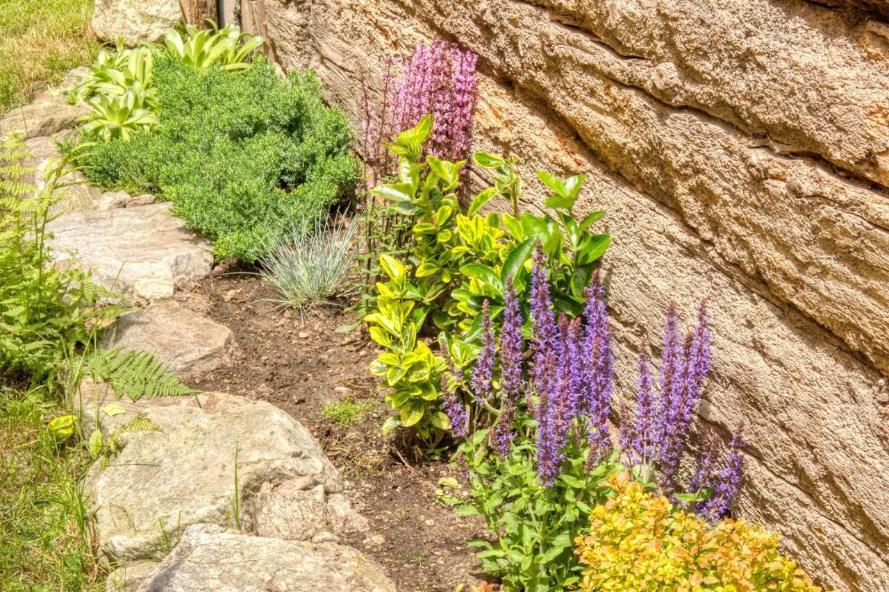 Appartamento Casa Weisstor Con Patio, Giardino E Orti Vista Monte Rosa Макуньяга Экстерьер фото